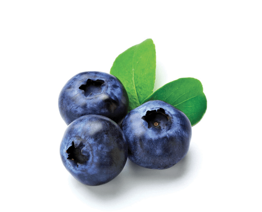 Eliquid Blueberry 30ml