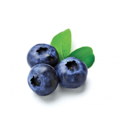  Blue Berry Rocky Cloud